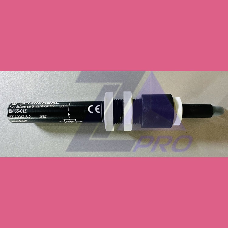 Магнитный герконовый датчик безопасности BN 65-01Z SCHMERSAL