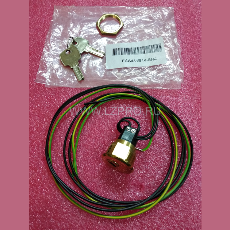 Ключевина (ключ SH4 2 шт., полированная латунь) FAA431B14 Otis