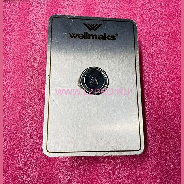 Пост вызывной УЭЛ ПЛВ53-Н1М0100У3 Wellmaks ЩЛЗ